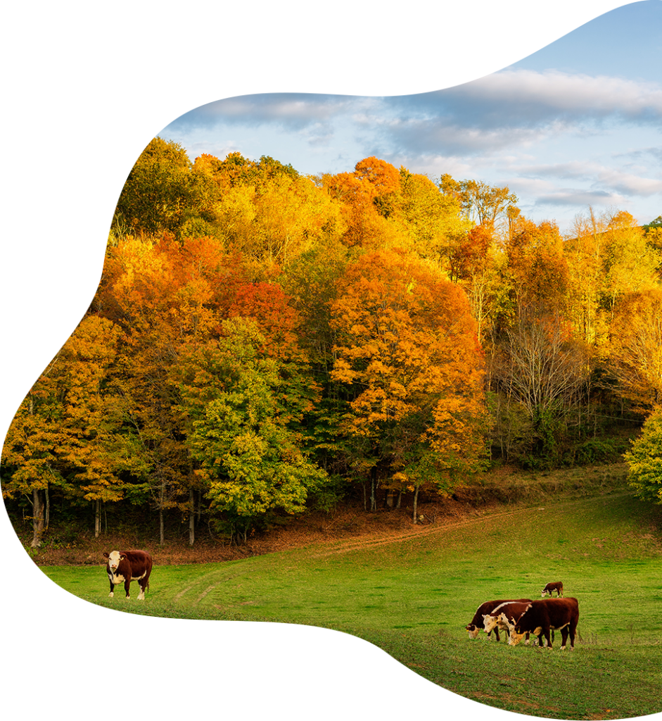 About NC Foundation for Soil & Water Conservation